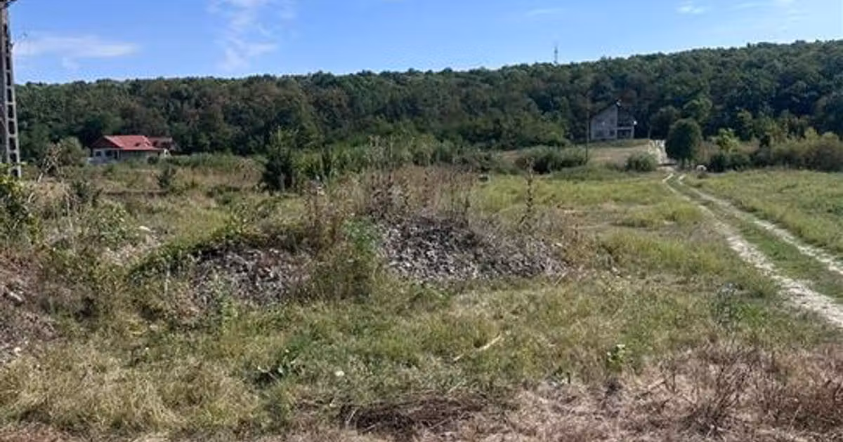 Teren Construcții intravilan de vânzare de 740 mp, în Dumbrava (Ciurea)