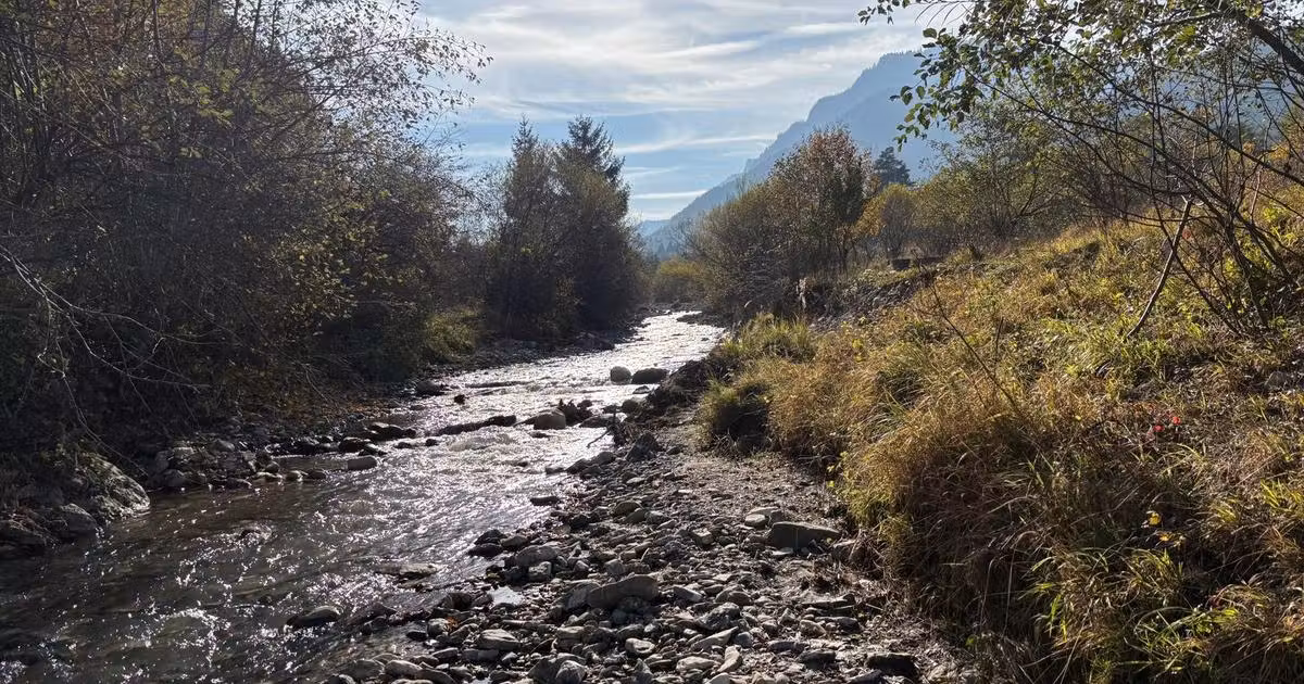 Teren Construcții intravilan de vânzare de 10000 mp, în Săcele
