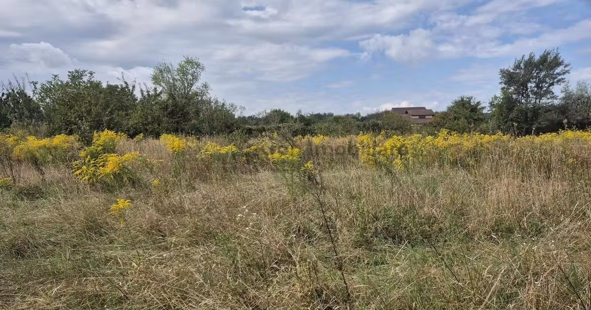 Teren Construcții intravilan de vânzare de 650 mp, în Sânpetru