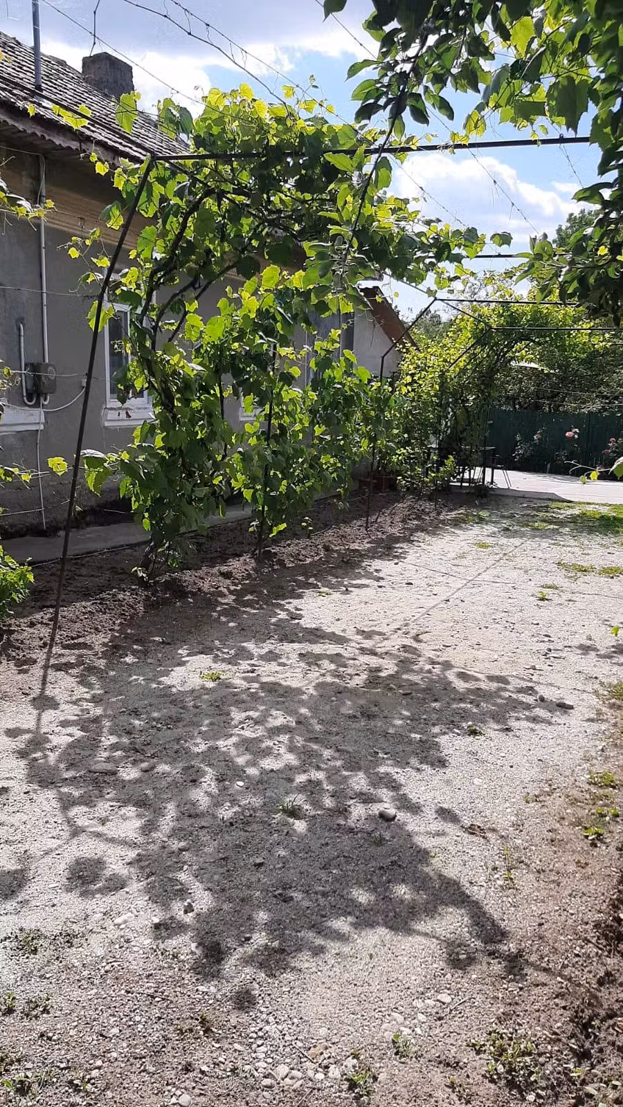 Casa mare si teren la tara Dolj Teslui