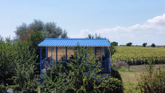 Casă Vamamea