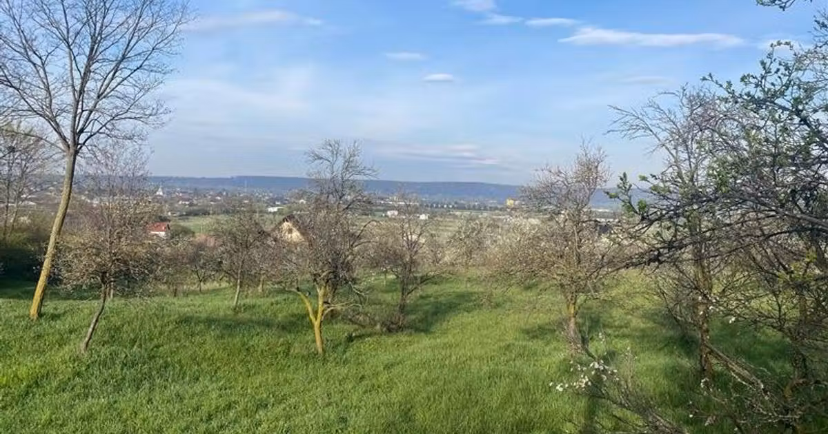 Teren Construcții intravilan de vânzare de 6000 mp, în Boldești-Scăeni