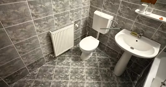 Apartament Zorilor