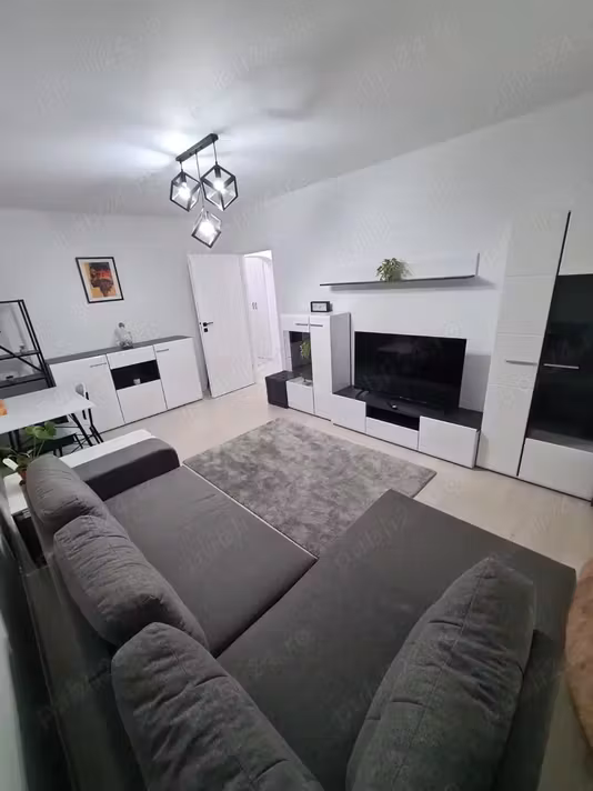 Apartament Tineretului