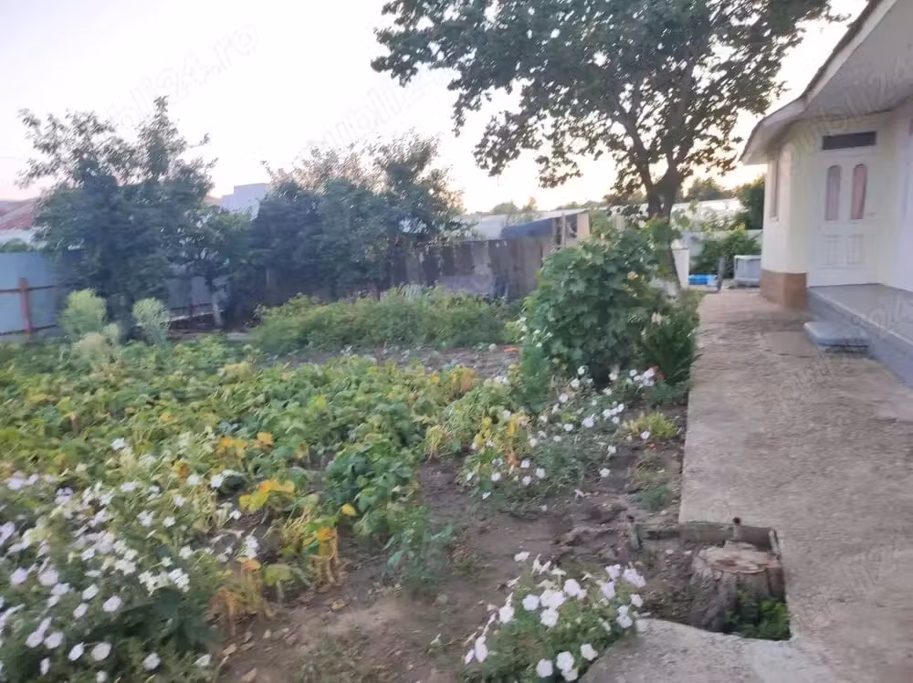 Vând casă bătrânească com Matca