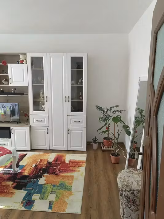 Apartament Roman