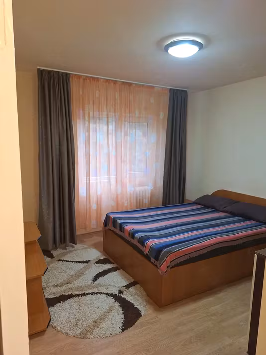 Apartament Paltinis