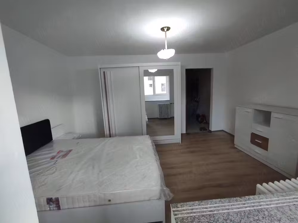 proprietar ofer spre inchiriere ap.1 camera, dec, parter, zona Dimbovita