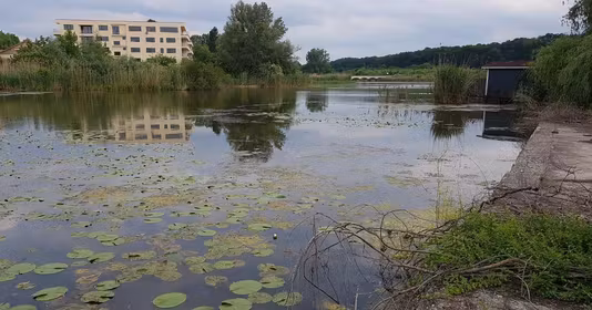 Teren Siliștea Snagovului