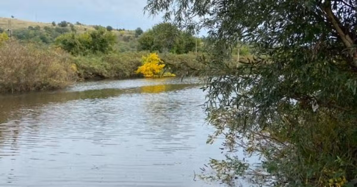 Teren agricol extravilan de vânzare de 2950 mp, în Măcești