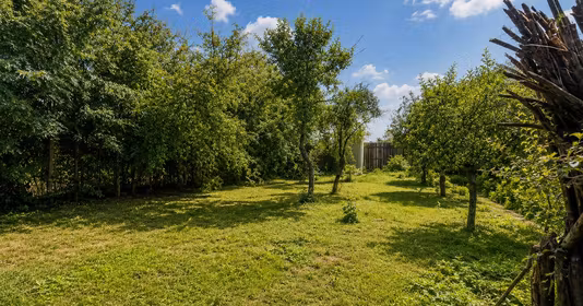 Teren Mogoșoaia
