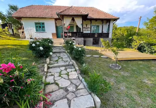 Casă Puini