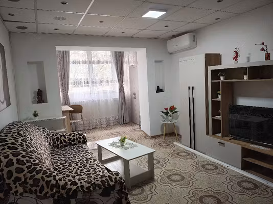 Apartament Alexandru cel Bun