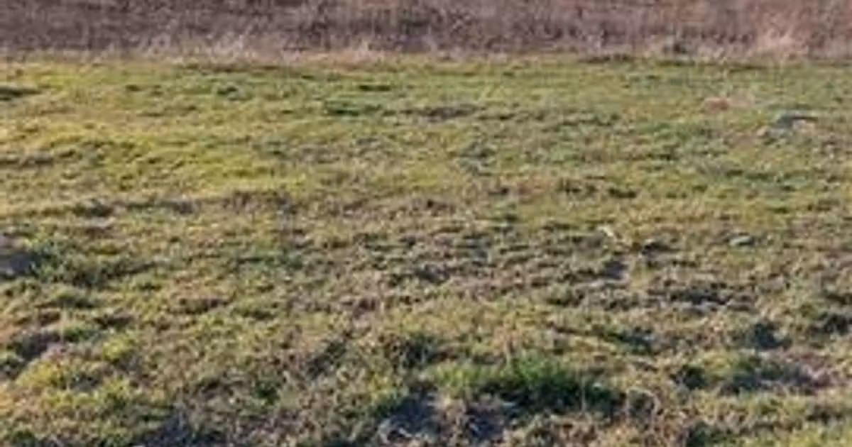 Teren Construcții intravilan de vânzare de 1392 mp, în Odaia Manolache