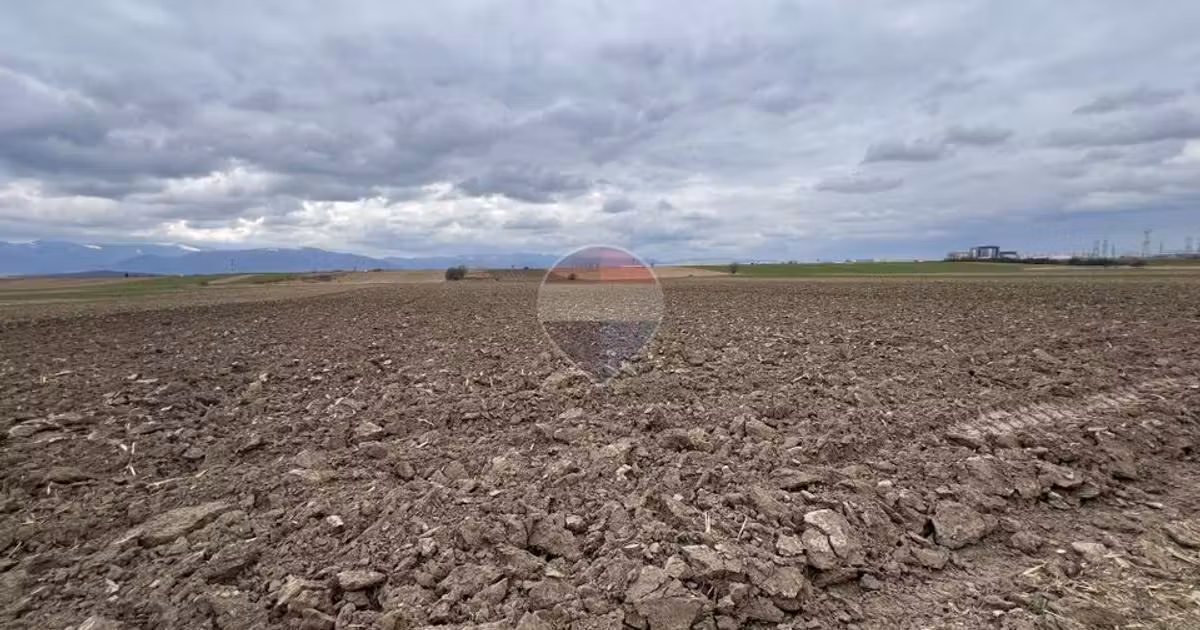 Teren agricol extravilan de vânzare de 2800 mp, în Șelimbăr
