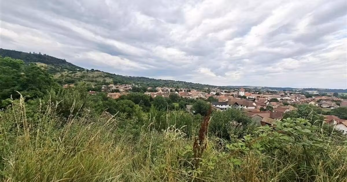 Teren Construcții intravilan de vânzare de 1355 mp, în Săliște