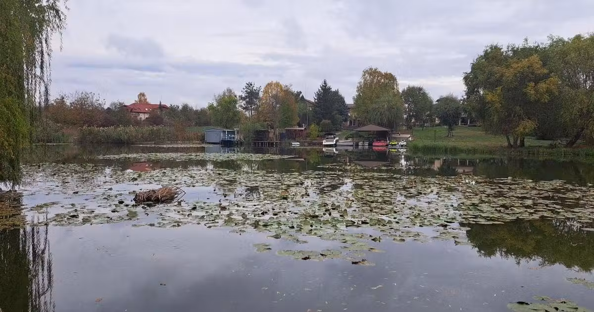 Teren Construcții intravilan de vânzare de 20000 mp, în Siliștea Snagovului