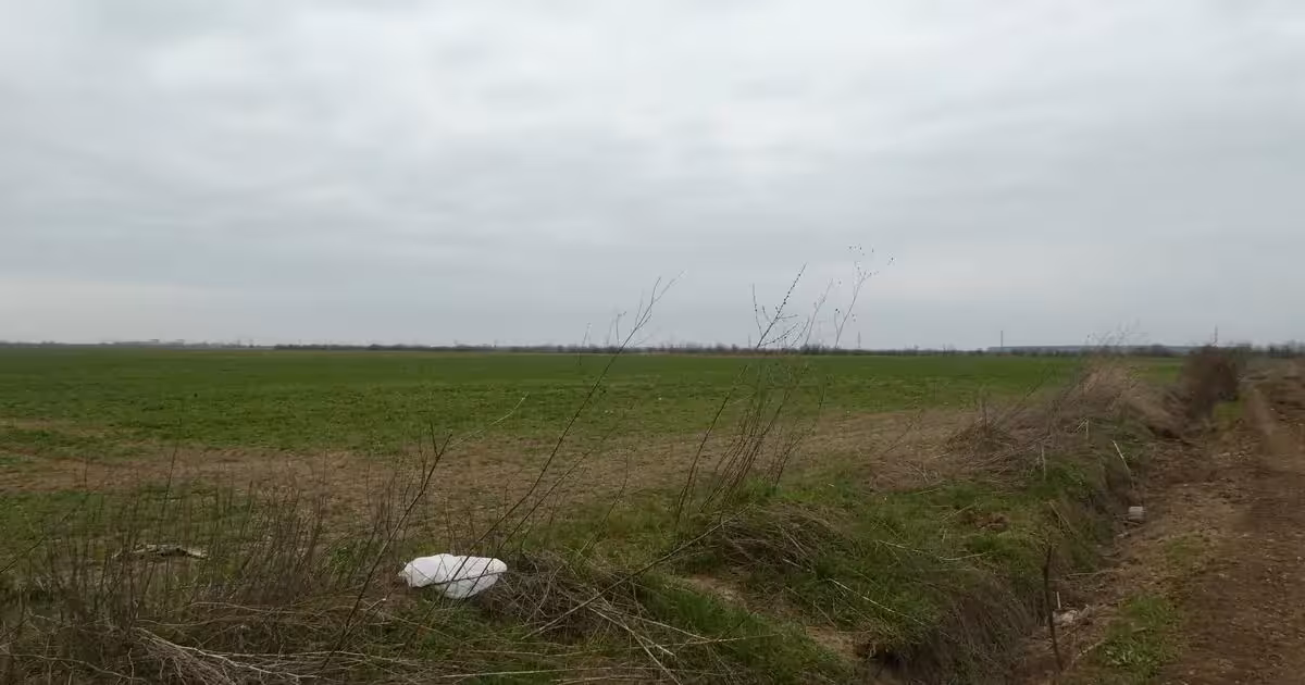 Teren Construcții intravilan de vânzare de 10000 mp, în Butimanu
