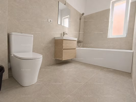 Apartament Timisoara