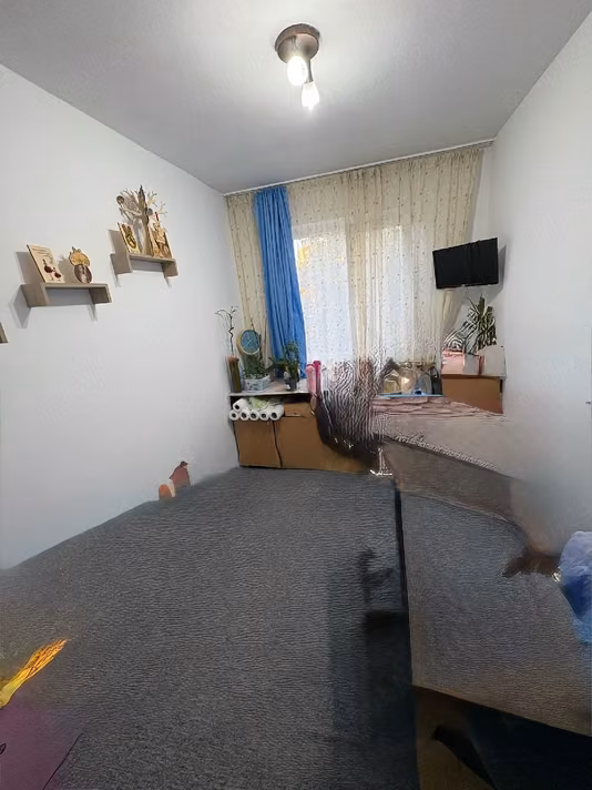 Apartament Șega