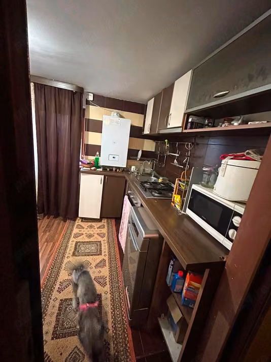 Apartament Cuza Vodă