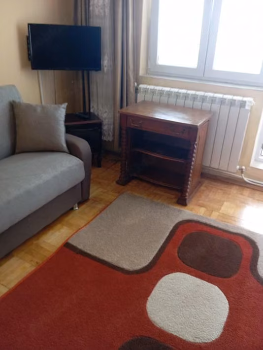 Apartament Alexandru cel Bun