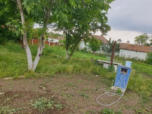 Casă Goicea