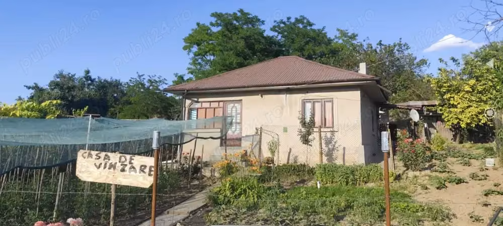 Casă · 3 camere · 81 m², Esechioi, Călărași