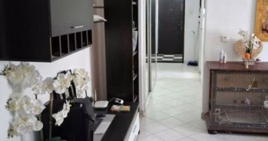 Apartament Tineretului