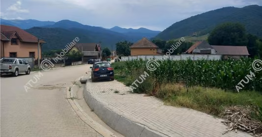 Teren Boița