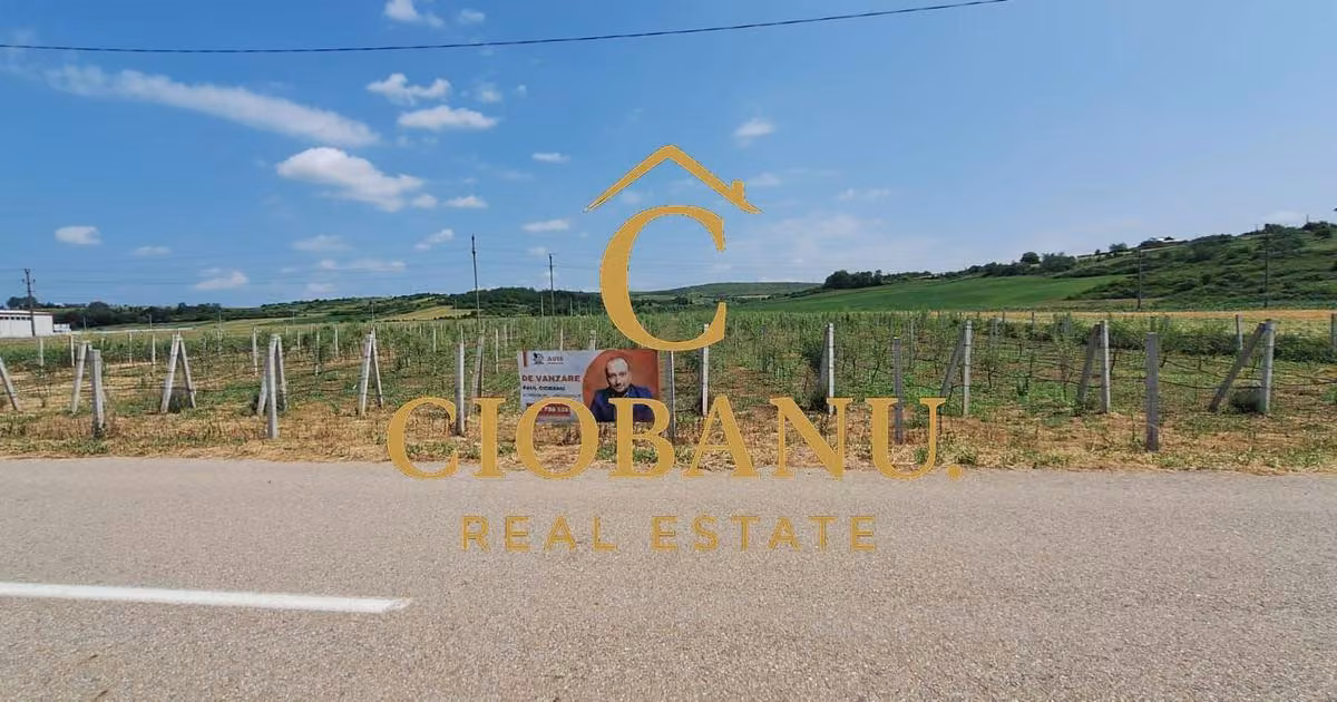 Teren agricol intravilan de vânzare de 9000 mp, în Craiova