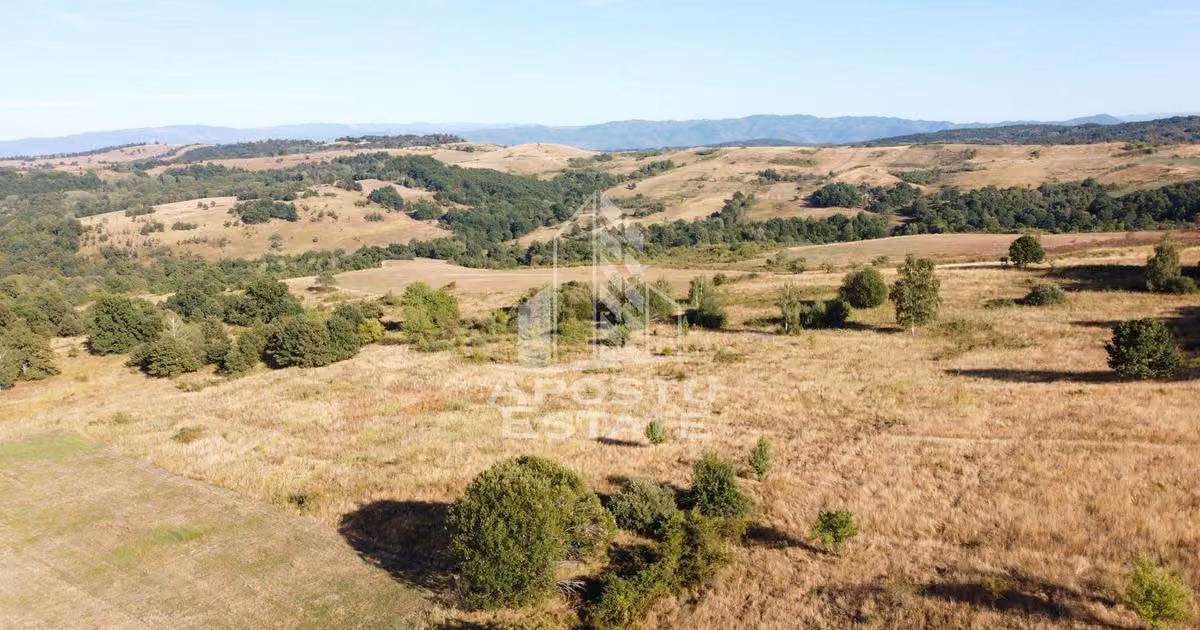Teren agricol extravilan de vânzare de 50000 mp, în Izvoarele