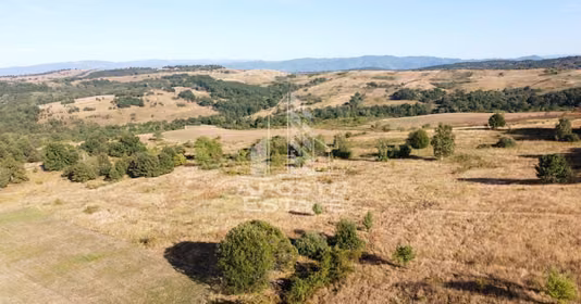 Teren Izvoarele