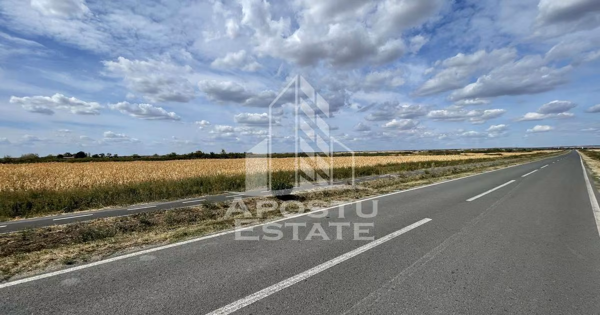 Teren agricol intravilan de vânzare de 55000 mp, în Ianova