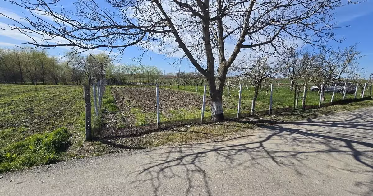 Teren Construcții intravilan de vânzare de 1300 mp, în Curtișoara