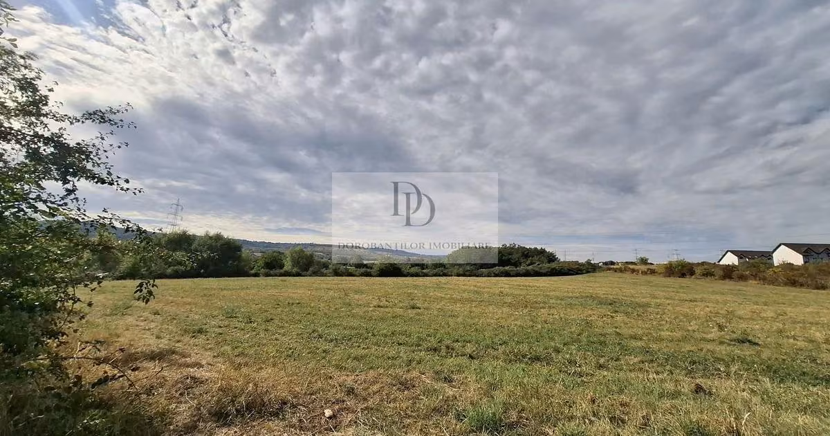 Teren Construcții intravilan de vânzare de 37976 mp, în zona Bună Ziua, Cluj-Napoca