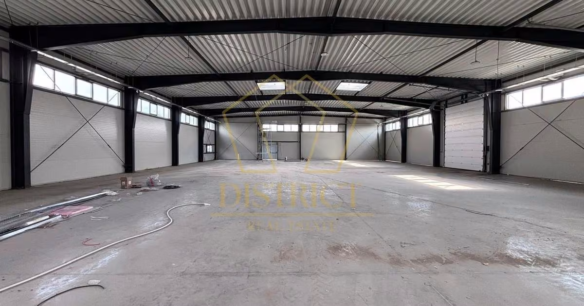 Spațiu industrial de vânzare în Sânandrei