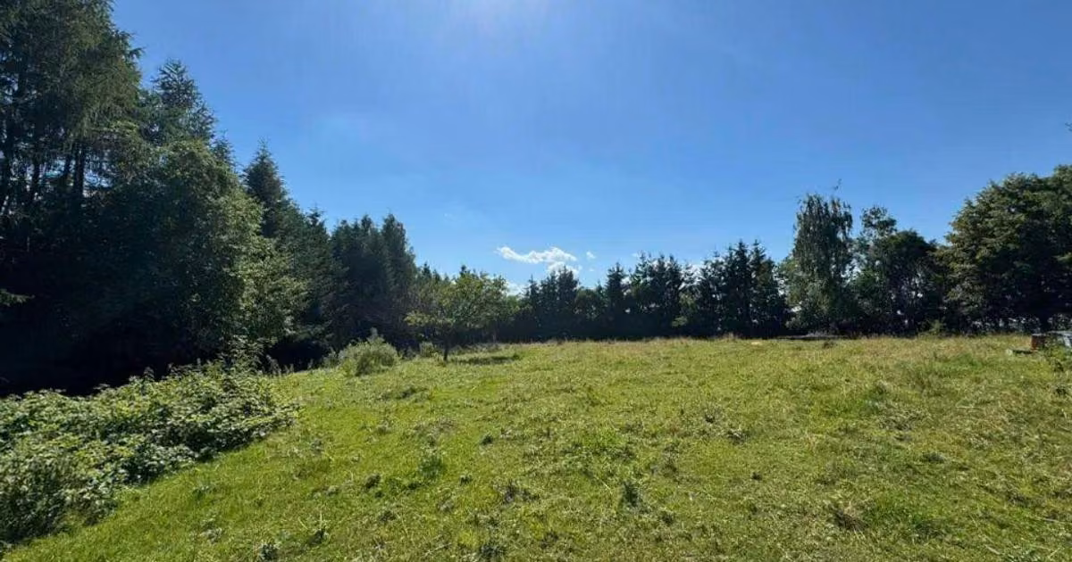 Teren Construcții intravilan de vânzare de 5755 mp, în Sighetu Marmației