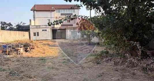Casă Brazda lui Novac