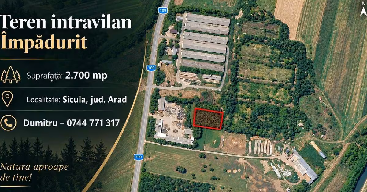 Teren intravilan de vânzare de 2700 mp, în Șicula