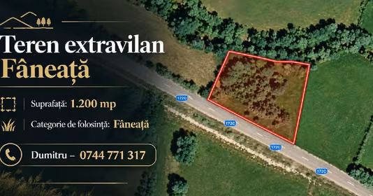 Teren Livezile