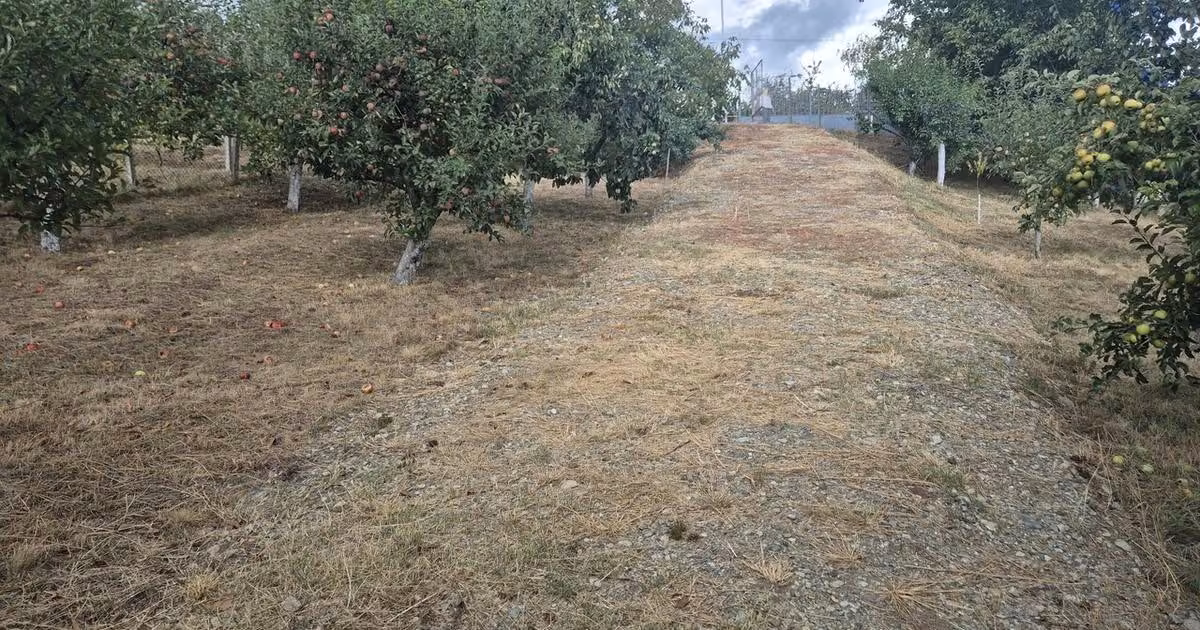 Teren Construcții intravilan de vânzare de 1436 mp, în zona Micești, Alba Iulia