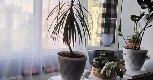 Apartament Drumul Taberei