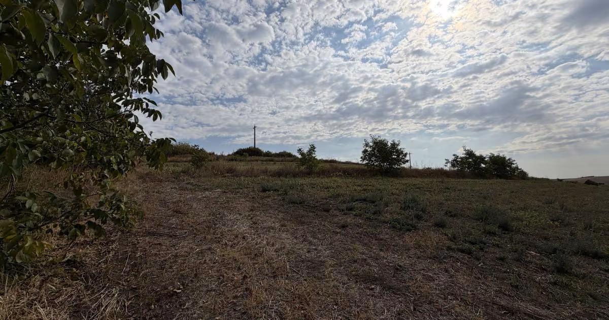 Teren Construcții intravilan de vânzare de 5800 mp, în Dezmir