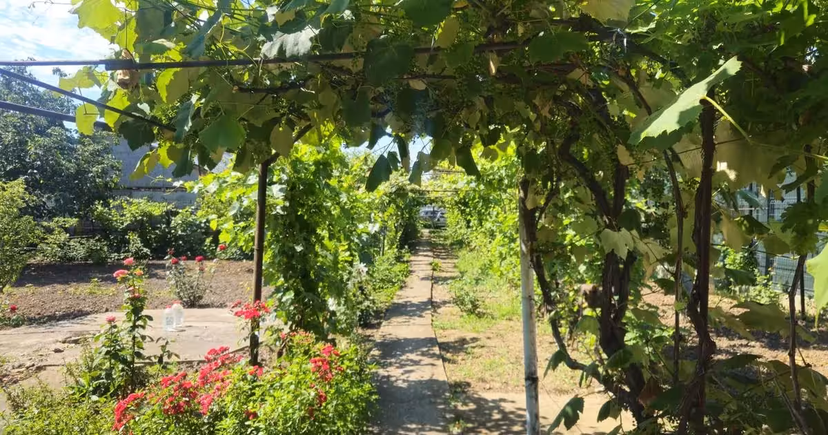 Casă individuală de vânzare cu 2 camere în Glina