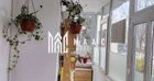 Apartament Central
