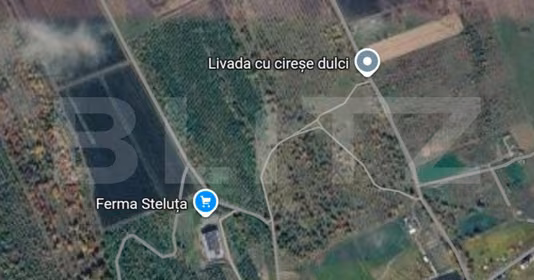 Teren Mărăști