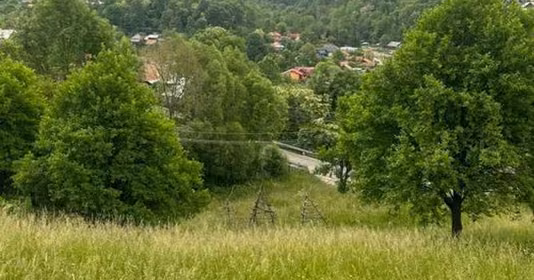 Teren Valea Doftanei