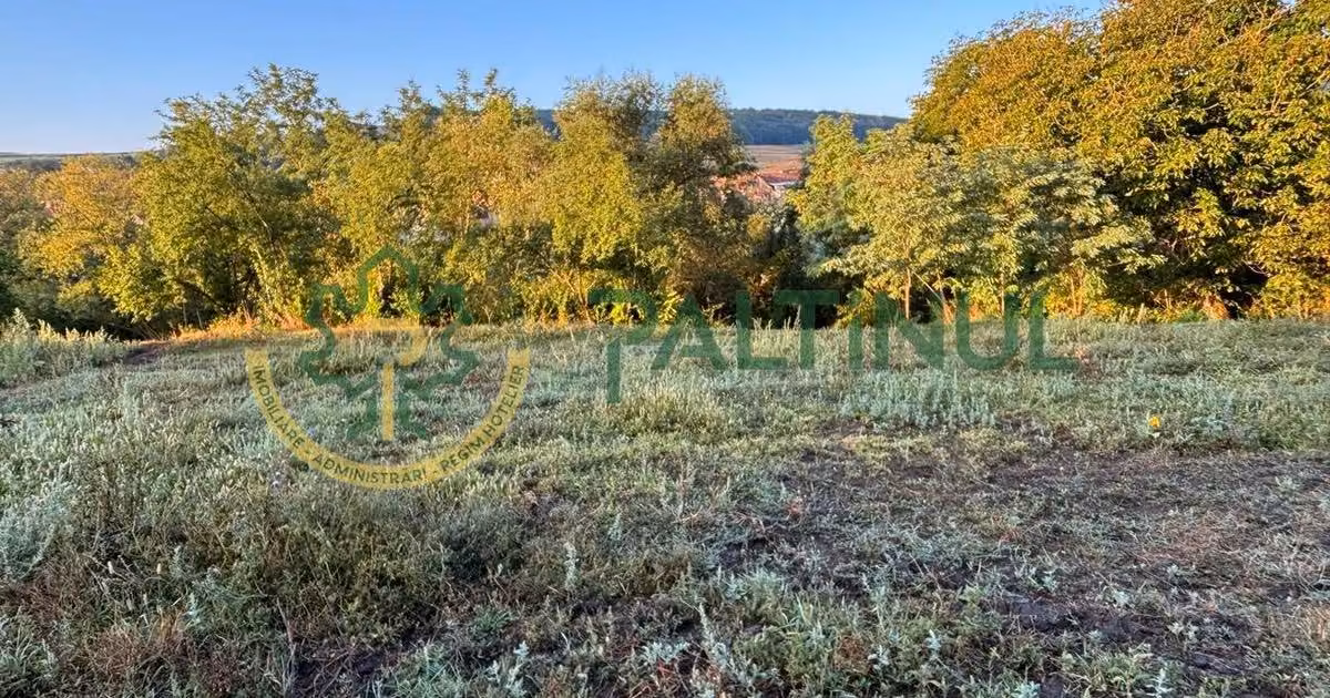 Teren agricol intravilan de vânzare de 2617 mp, în Loamneș