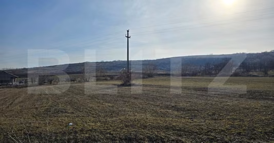 Teren Mărăști